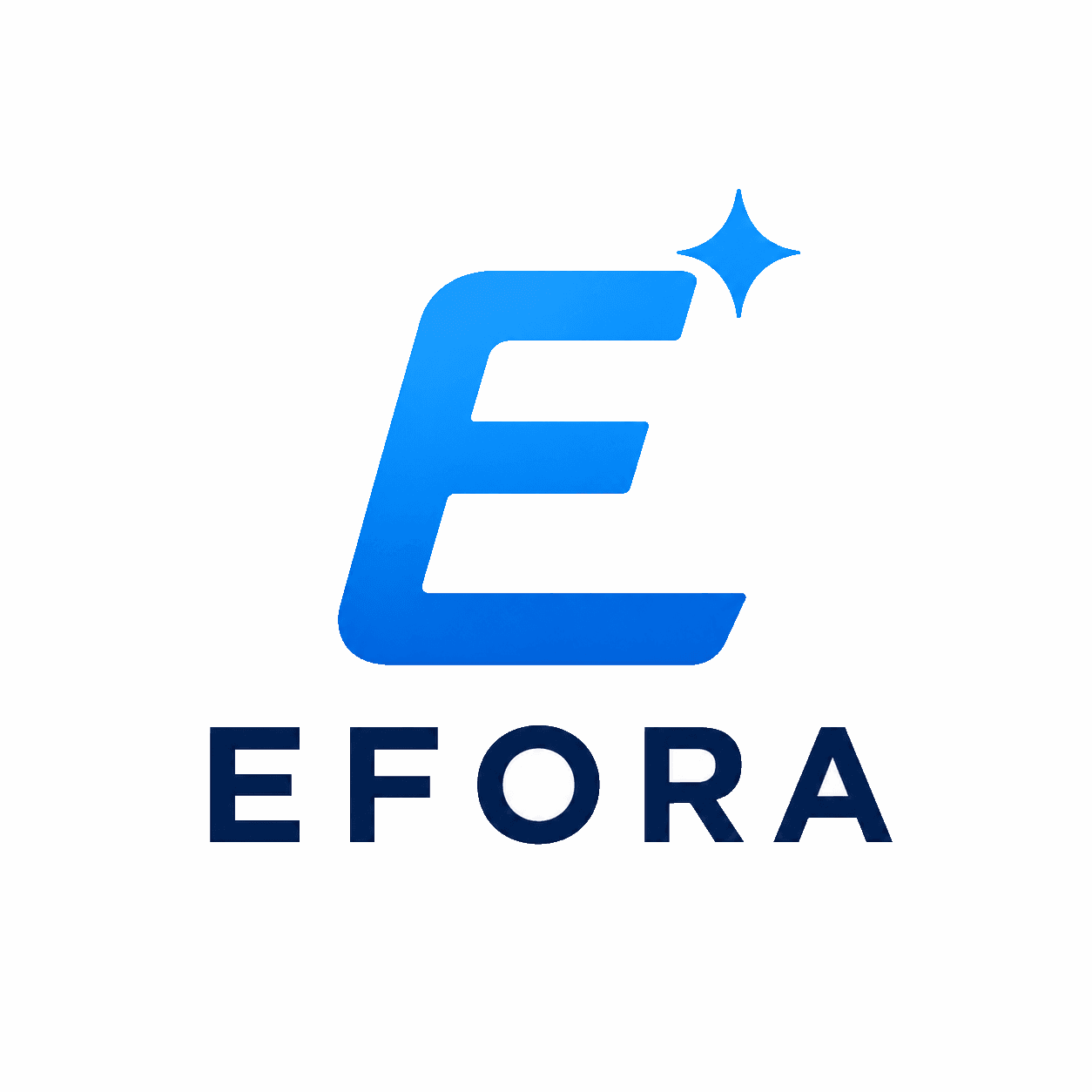 Efora Reinigung